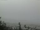 ./images/calvert/beach/20160819/beach20160819_124503.jpg