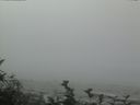 ./images/calvert/beach/20160819/beach20160819_130002.jpg