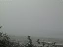 ./images/calvert/beach/20160819/beach20160819_132003.jpg