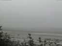 ./images/calvert/beach/20160820/beach20160820_091001.jpg