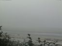 ./images/calvert/beach/20160820/beach20160820_091502.jpg