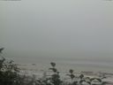 ./images/calvert/beach/20160820/beach20160820_092501.jpg
