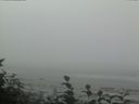 ./images/calvert/beach/20160820/beach20160820_093002.jpg