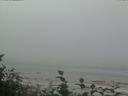 ./images/calvert/beach/20160820/beach20160820_094003.jpg