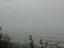 ./images/calvert/beach/20160820/beach20160820_094503.jpg