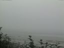 ./images/calvert/beach/20160820/beach20160820_095003.jpg