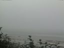 ./images/calvert/beach/20160820/beach20160820_095502.jpg