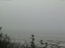 ./images/calvert/beach/20160820/beach20160820_102003.jpg