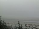 ./images/calvert/beach/20160820/beach20160820_102501.jpg