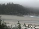 ./images/calvert/beach/20160820/beach20160820_104501.jpg
