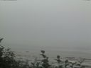 ./images/calvert/beach/20160820/beach20160820_110501.jpg