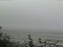 ./images/calvert/beach/20160820/beach20160820_113002.jpg