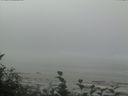 ./images/calvert/beach/20160820/beach20160820_114503.jpg