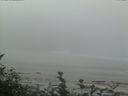 ./images/calvert/beach/20160820/beach20160820_115002.jpg