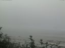 ./images/calvert/beach/20160820/beach20160820_115502.jpg