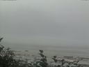./images/calvert/beach/20160820/beach20160820_120003.jpg