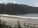 ./images/calvert/beach/20160820/beach20160820_131502.jpg