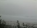./images/calvert/beach/20160820/beach20160820_164003.jpg