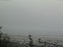 ./images/calvert/beach/20160820/beach20160820_164503.jpg