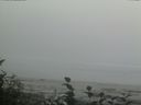 ./images/calvert/beach/20160820/beach20160820_165002.jpg