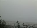 ./images/calvert/beach/20160820/beach20160820_170002.jpg