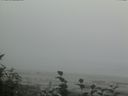./images/calvert/beach/20160820/beach20160820_170502.jpg