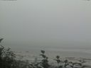 ./images/calvert/beach/20160820/beach20160820_194502.jpg