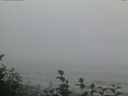 ./images/calvert/beach/20160820/beach20160820_201502.jpg