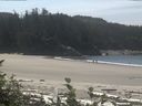 ./images/calvert/beach/20160822/beach20160822_125003.jpg