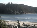 ./images/calvert/beach/20160822/beach20160822_172501.jpg