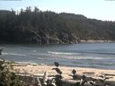 ./images/calvert/beach/20160823/beach20160823_172503.jpg