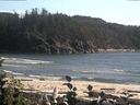 ./images/calvert/beach/20160823/beach20160823_173502.jpg
