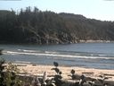 ./images/calvert/beach/20160823/beach20160823_174502.jpg