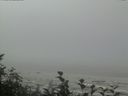 ./images/calvert/beach/20160824/beach20160824_110001.jpg