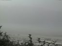 ./images/calvert/beach/20160824/beach20160824_114503.jpg