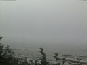 ./images/calvert/beach/20160824/beach20160824_125502.jpg