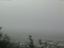 ./images/calvert/beach/20160824/beach20160824_130002.jpg