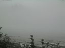 ./images/calvert/beach/20160824/beach20160824_134503.jpg