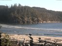 ./images/calvert/beach/20160824/beach20160824_185501.jpg