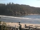 ./images/calvert/beach/20160825/beach20160825_180502.jpg
