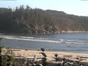 ./images/calvert/beach/20160825/beach20160825_183502.jpg