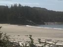 ./images/calvert/beach/20160826/beach20160826_131503.jpg