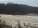 ./images/calvert/beach/20160826/beach20160826_135003.jpg