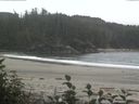 ./images/calvert/beach/20160827/beach20160827_091503.jpg