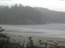 ./images/calvert/beach/20160828/beach20160828_110503.jpg