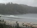 ./images/calvert/beach/20160830/beach20160830_114003.jpg
