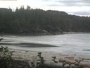 ./images/calvert/beach/20160830/beach20160830_140002.jpg