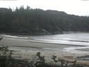 ./images/calvert/beach/20160831/beach20160831_113002.jpg