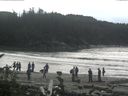 ./images/calvert/beach/20160831/beach20160831_143503.jpg