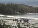 ./images/calvert/beach/20160831/beach20160831_151003.jpg